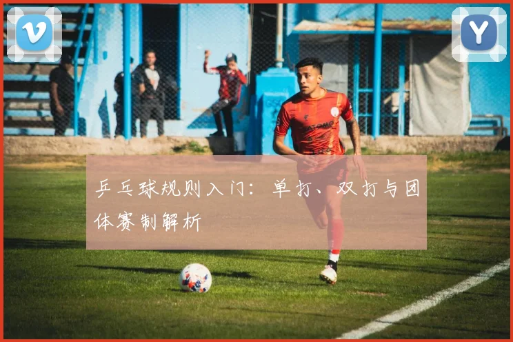 乒乓球规则入门:单打、双打与团体赛制解析