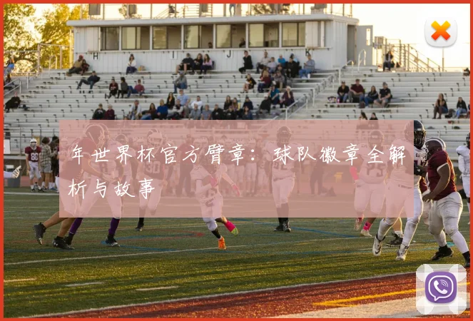 年世界杯官方臂章：球队徽章全解析与故事