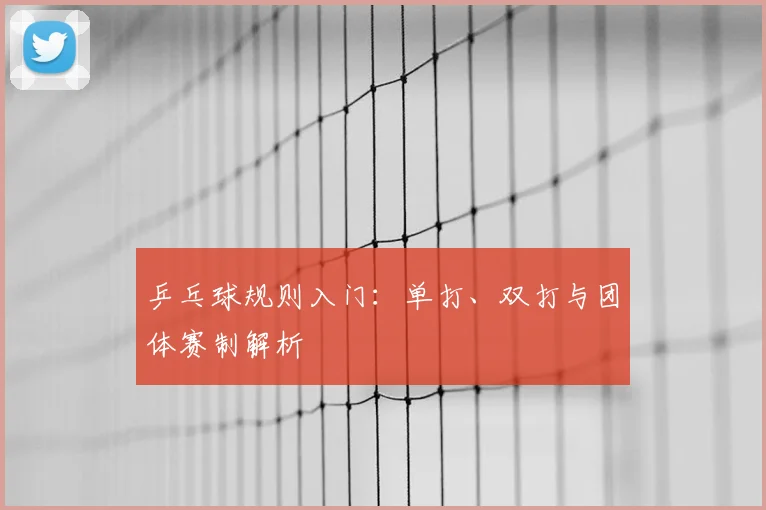 乒乓球规则入门：单打、双打与团体赛制解析